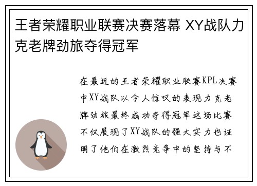 王者荣耀职业联赛决赛落幕 XY战队力克老牌劲旅夺得冠军